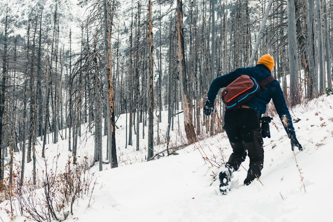 Як правильно вибрати спортивний одяг для зимових тренувань: поради 2025